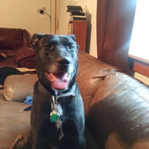 Meet your Posher, Scott